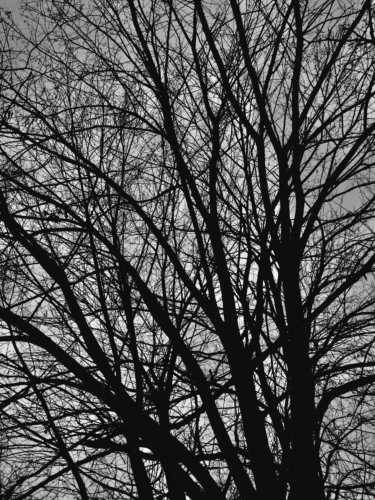 A Cold Sun : Remorse